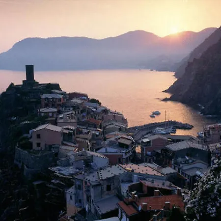 アフィッタカメレ ローランド